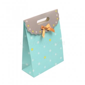 Printed Candy Gift Bags
