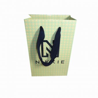 Luxury Shopping Paper Bag With Handle